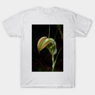 Early Cobra Orchid T-Shirt